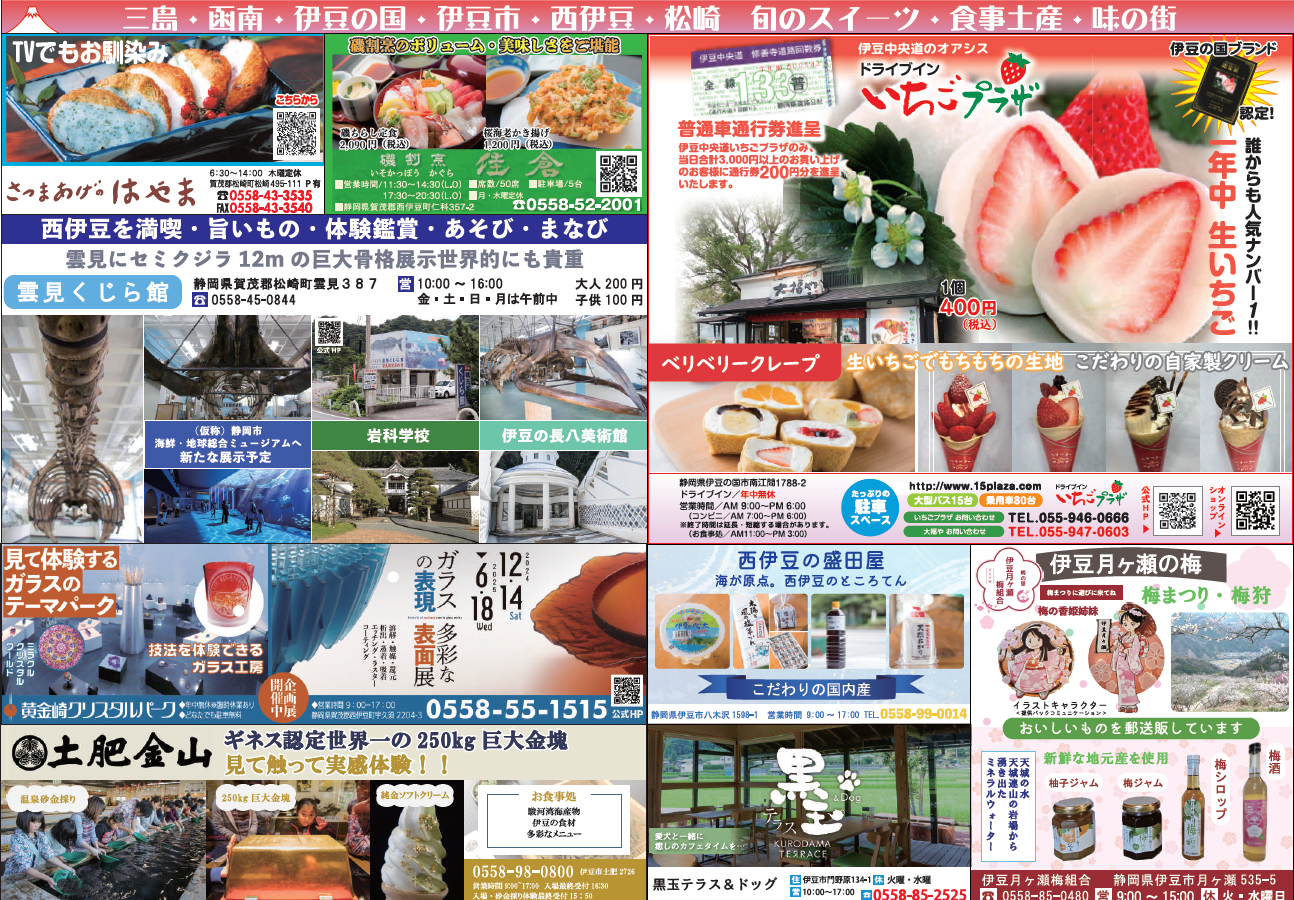 スクリーンショット 2025-01-27 094441